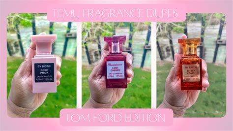 temu fragrance dupes.